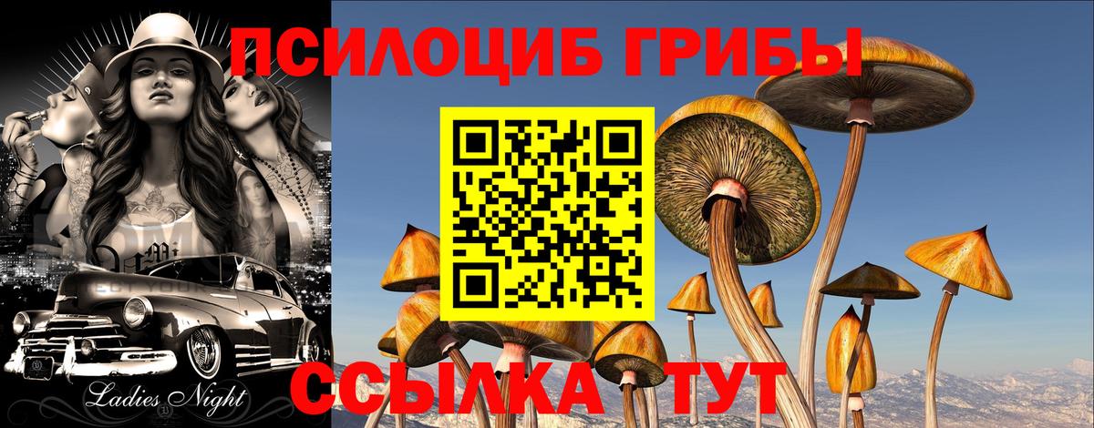 Псилоцибиновые грибы GOLDEN TEACHER Прокопьевск