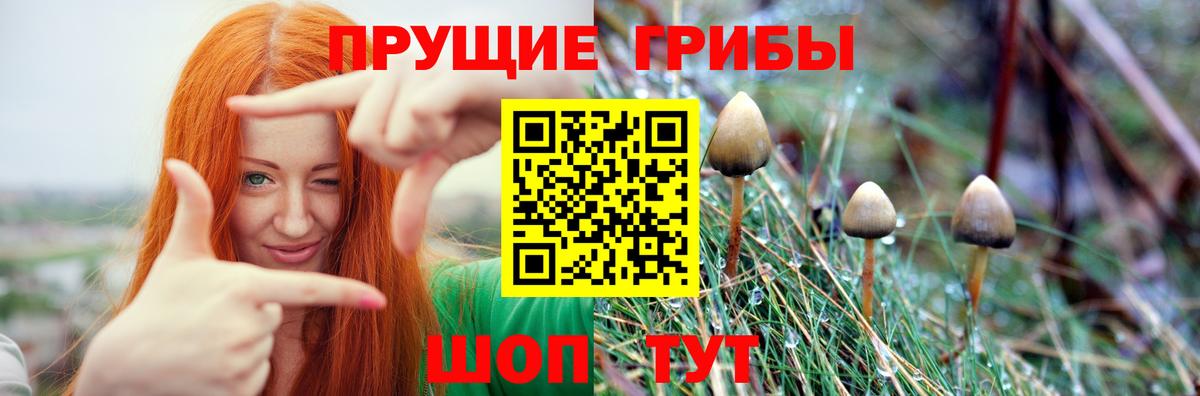Псилоцибиновые грибы Psilocybe  Псилоцибиновые грибы MAGIC MUSHROOMS  Прокопьевск  Вход с VPN 